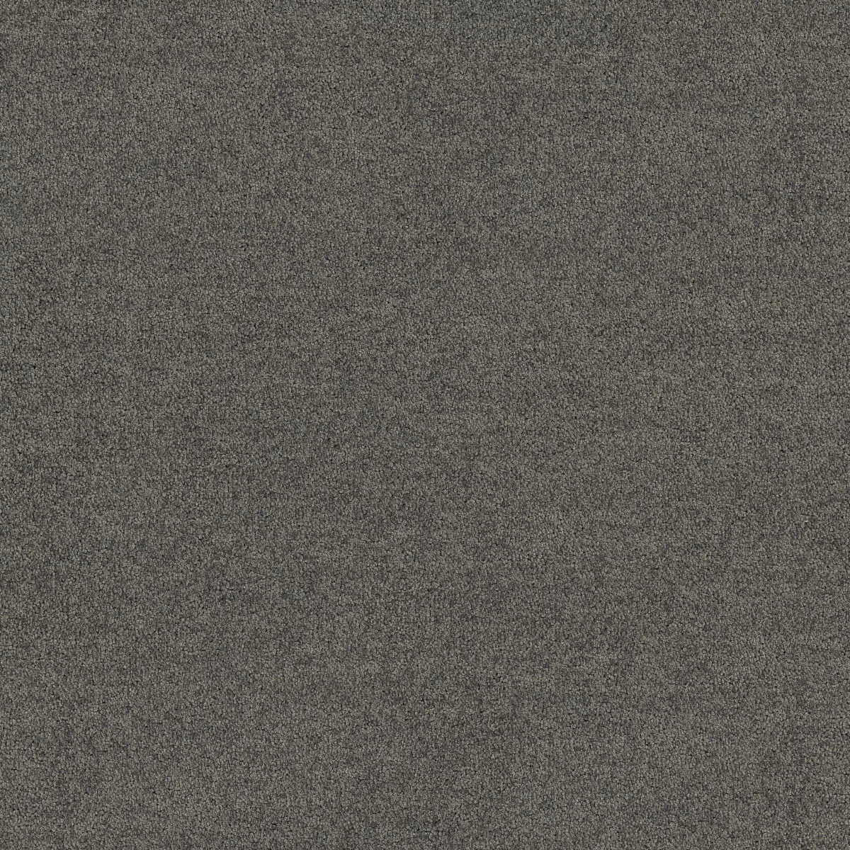 Interface Policrome Solid & Mole 426608 (609408)