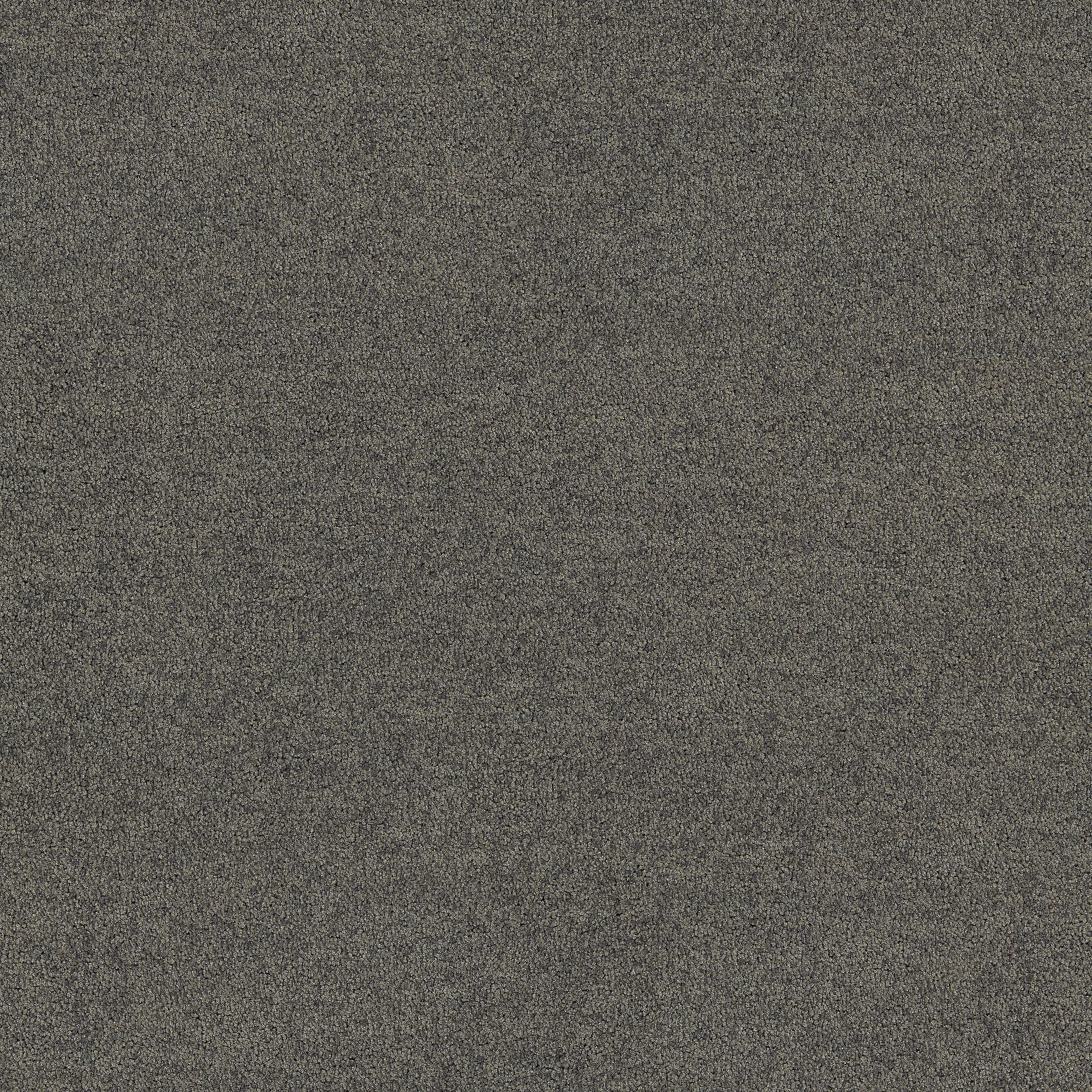 Interface Policrome Solid & Mole 426608 (609408) - Bilde 1