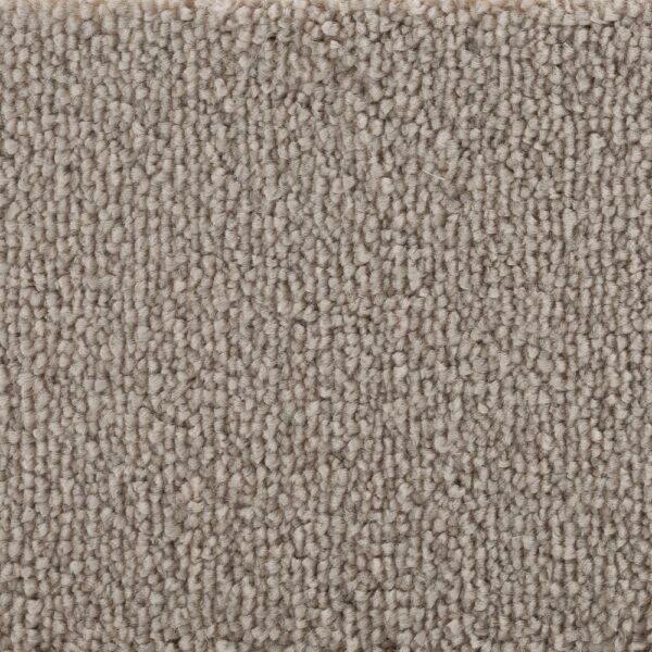 Golvabia Bellora Linne Golvabia Bellora Linne