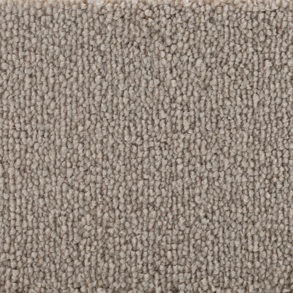 Golvabia Bellora Linne