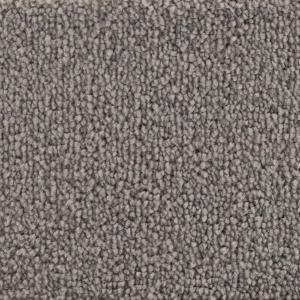 Golvabia Bellora Mole Golvabia Bellora Mole