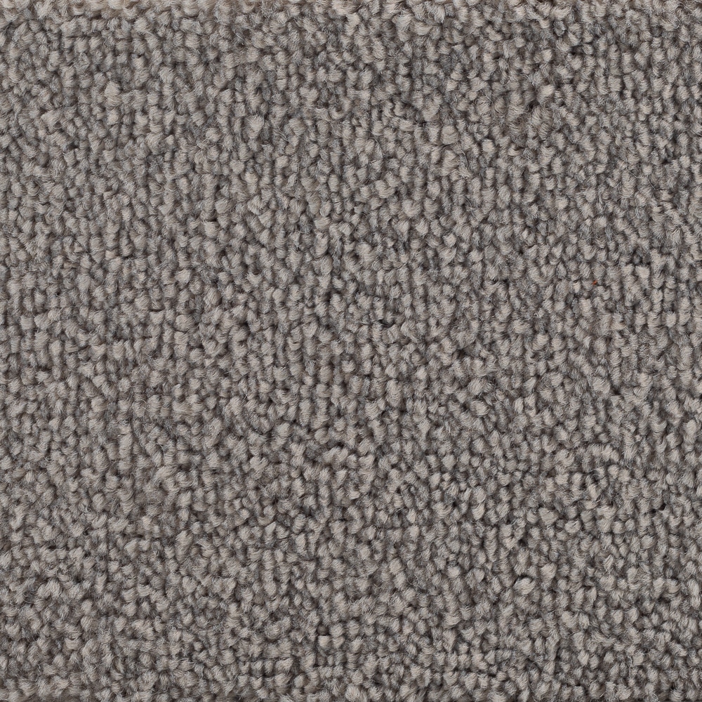 Golvabia Bellora Mole