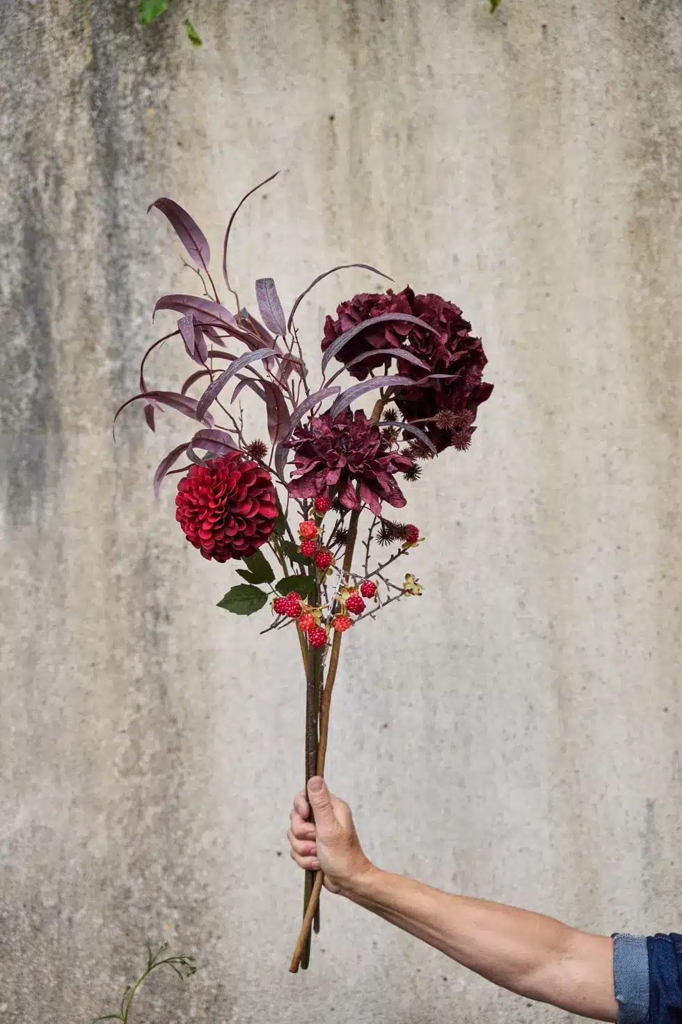 Georgine Dyp Rød 66cm - Bilde 3