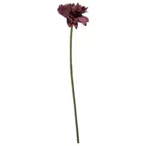 Georgine Dyp Rød 66cm