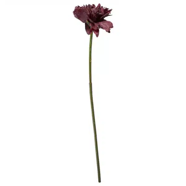 Georgine Dyp Rød 66cm - Bilde 1