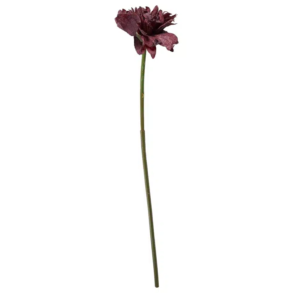 Georgine Dyp Rød 66cm - Bilde 1