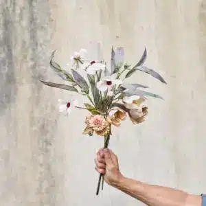 Magnolia Dus Rosa 50cm - Bilde 2