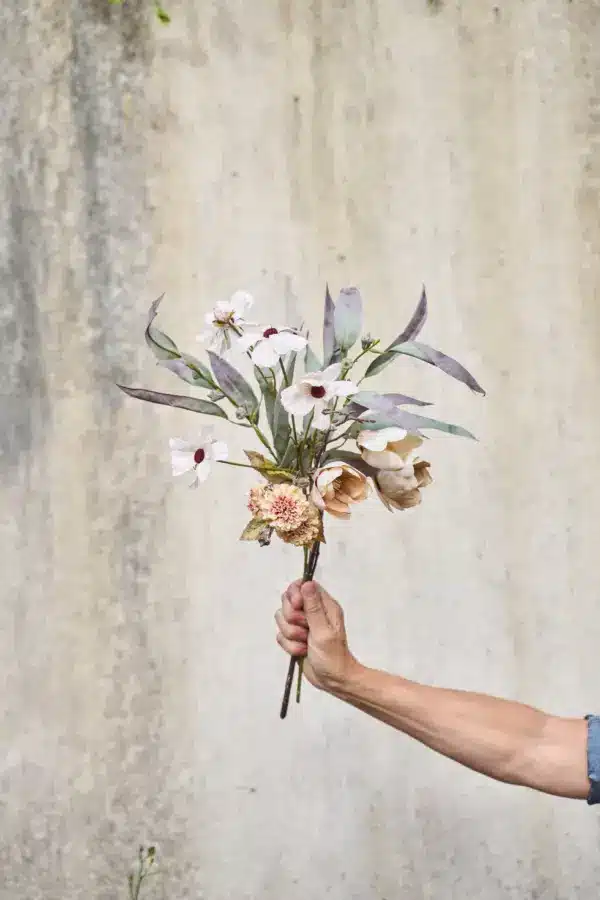 Magnolia Dus Rosa 50cm - Bilde 2