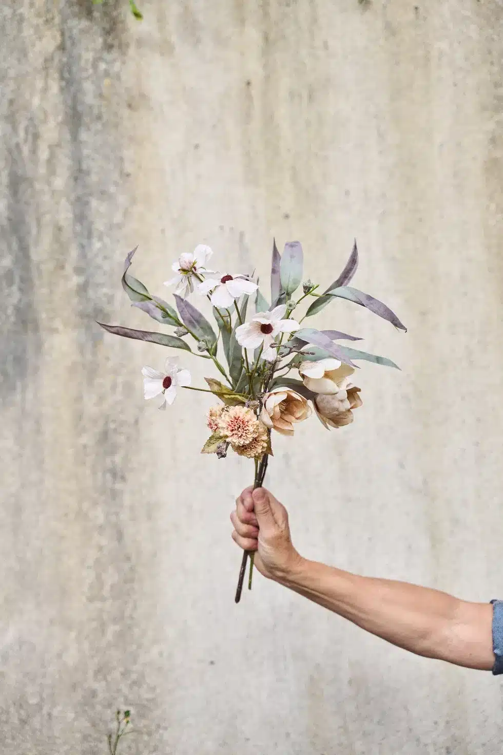 Magnolia Dus Rosa 50cm - Bilde 2