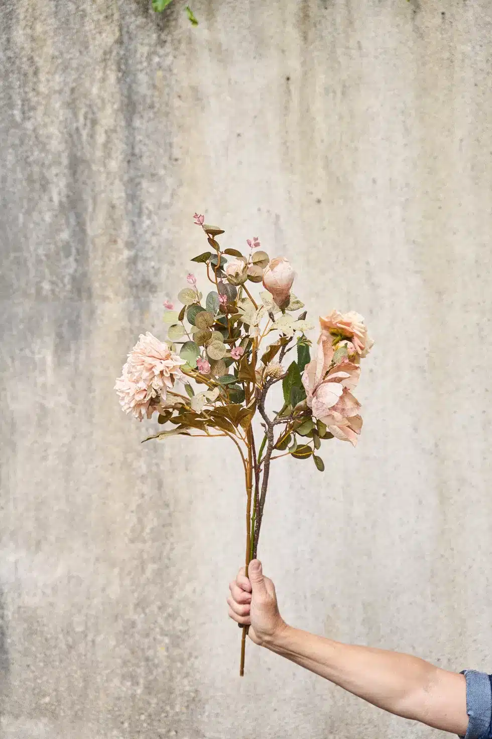 Speedtsberg magnolia stilk – 50 cm dekorasjon