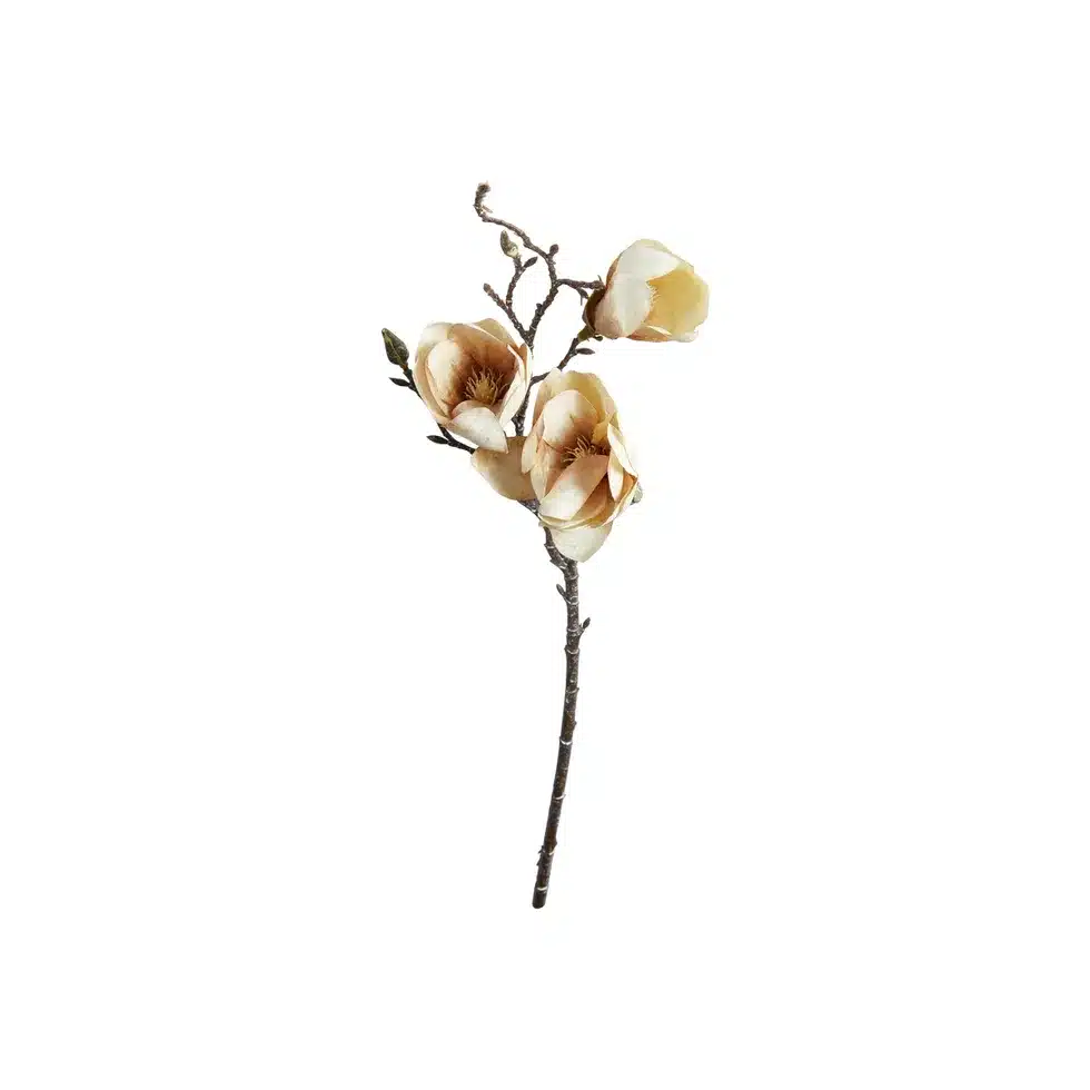 Magnolia Dus Rosa 50cm - Bilde 1