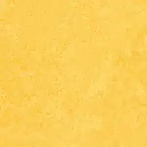 Marmoleum Click - Linoleum Flis 30x30cm - Bilde 5