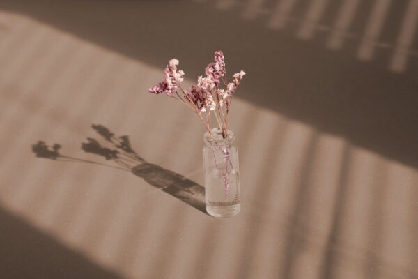 Texline Nature Smooth Tearose – slitesterkt og bærekraftig gulvbelegg