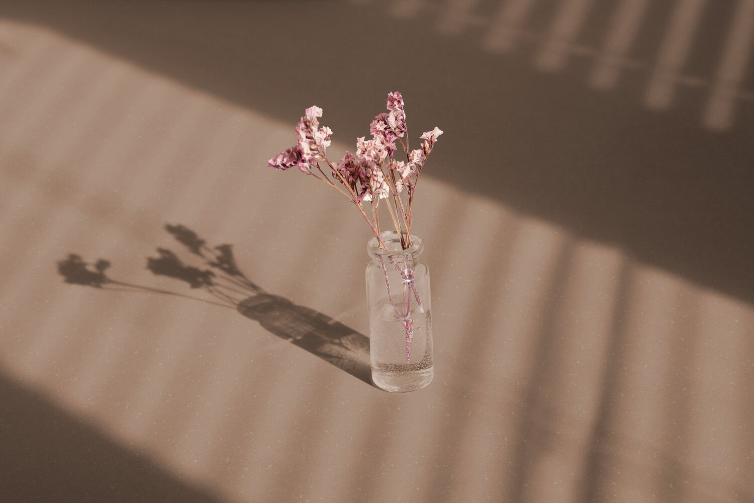 Texline Nature Smooth Tearose – slitesterkt og bærekraftig gulvbelegg