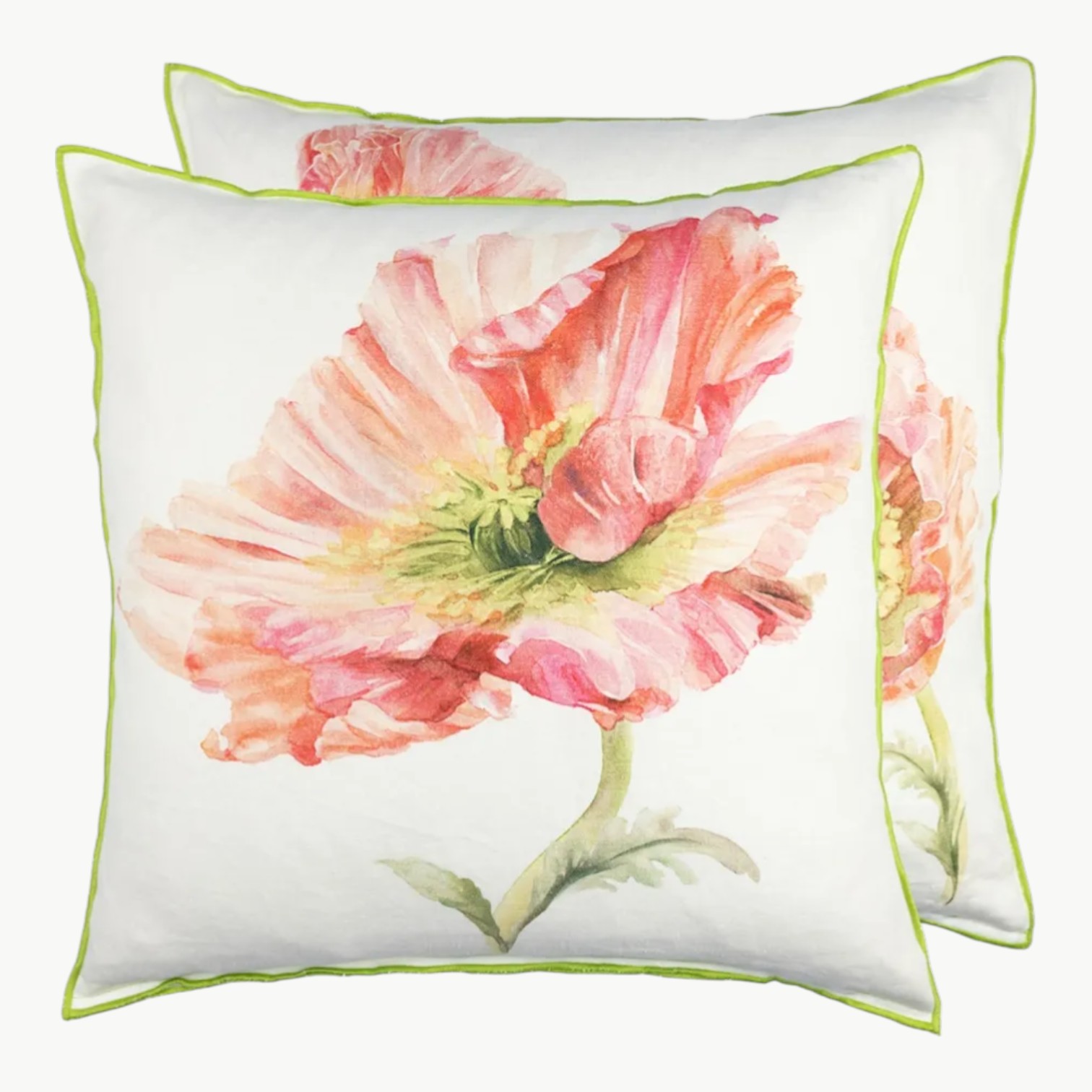 Coquelicot Coral Pyntepute - Bilde 1