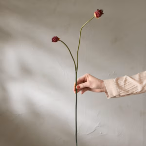 Kløver Burgunder 65cm - Bilde 2