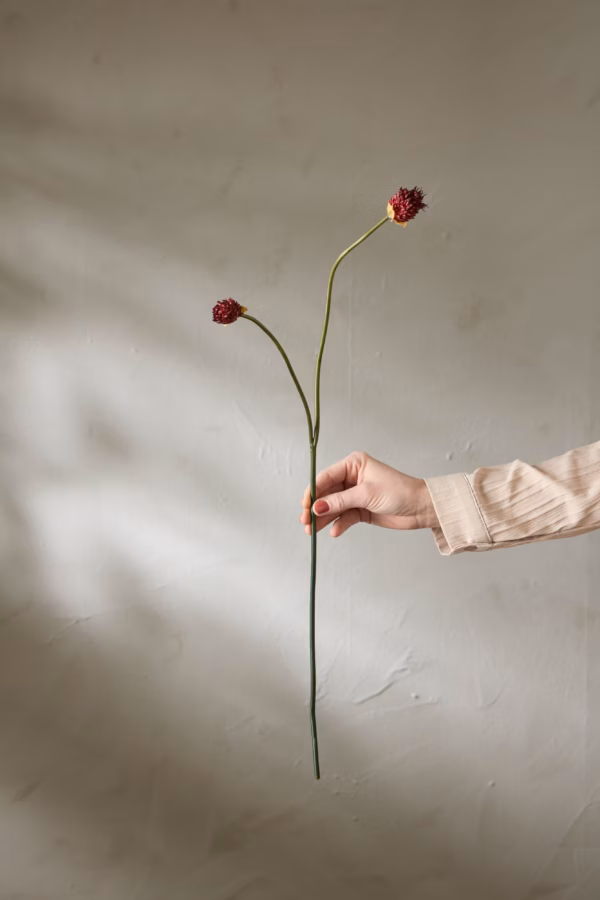 Kløver Burgunder 65cm - Bilde 2