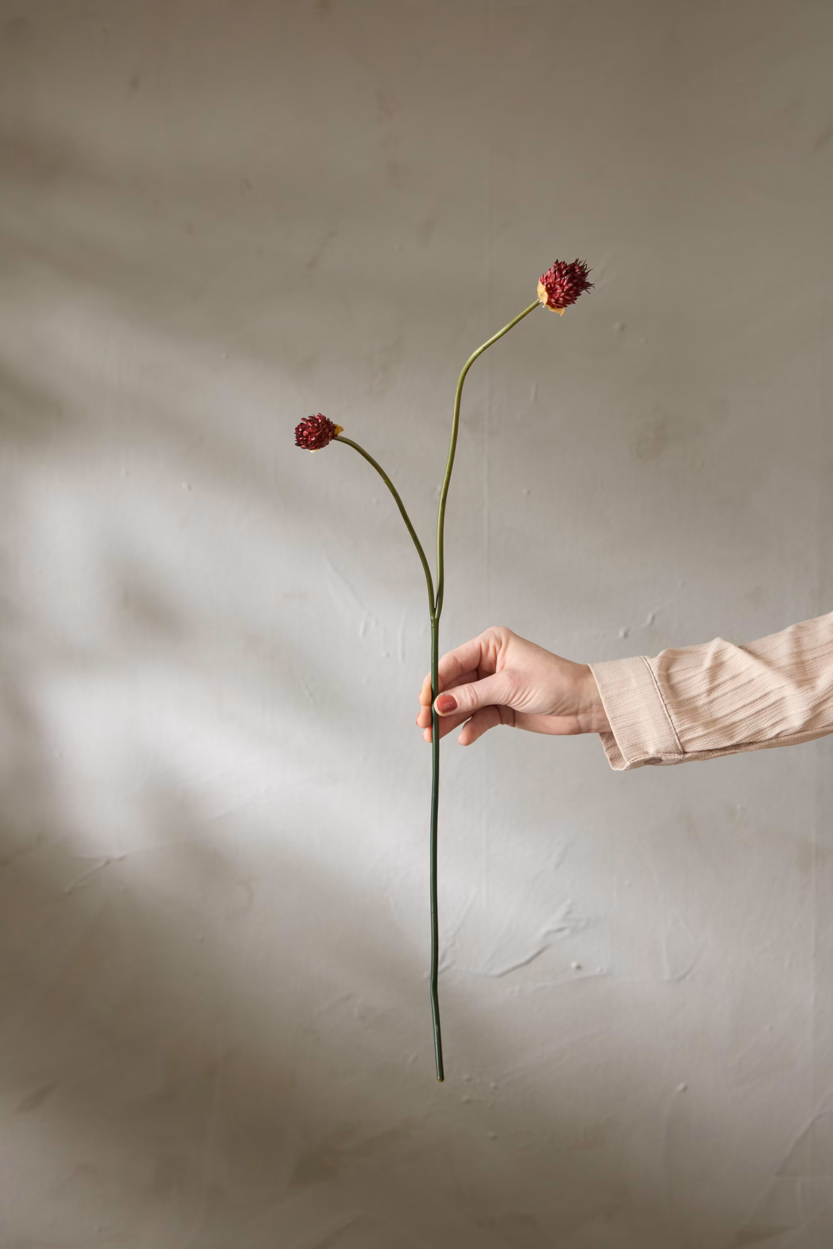 Kløver Burgunder 65cm - Bilde 2