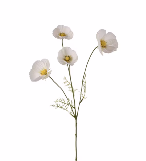 🟢 Produktdetaljer Produkt: Kurv / pyntekorg Brand: Mr Plant Farge: Natur Materiale: Naturmateriale / flettet Bruksområde: Oppbevaring, dekorasjon, styling