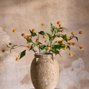Tistel i rosa farge med flere blomsterhoder på stilk, 58 cm høy