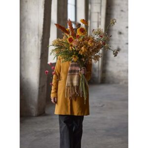 Coreopsis Rosa 57 cm - Bilde 3