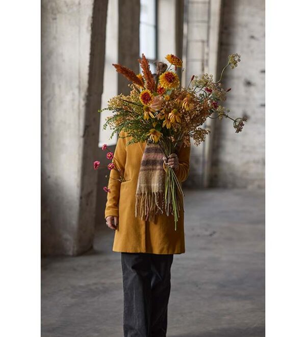 Coreopsis Rosa 57 cm - Bilde 3