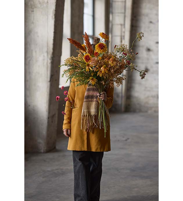 Coreopsis Rosa 57 cm - Bilde 3