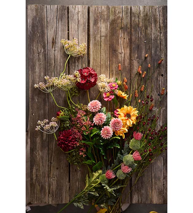 Coreopsis Rosa 57 cm - Bilde 2