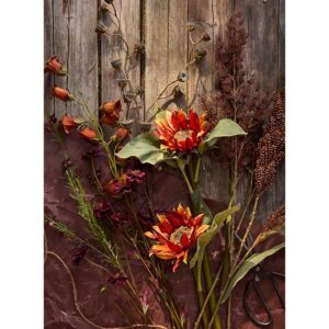 Blåklocka Brun 85 cm - Bilde 2