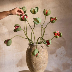 Vallmoknopp i oransje farge på lang stilk, 78 cm høy