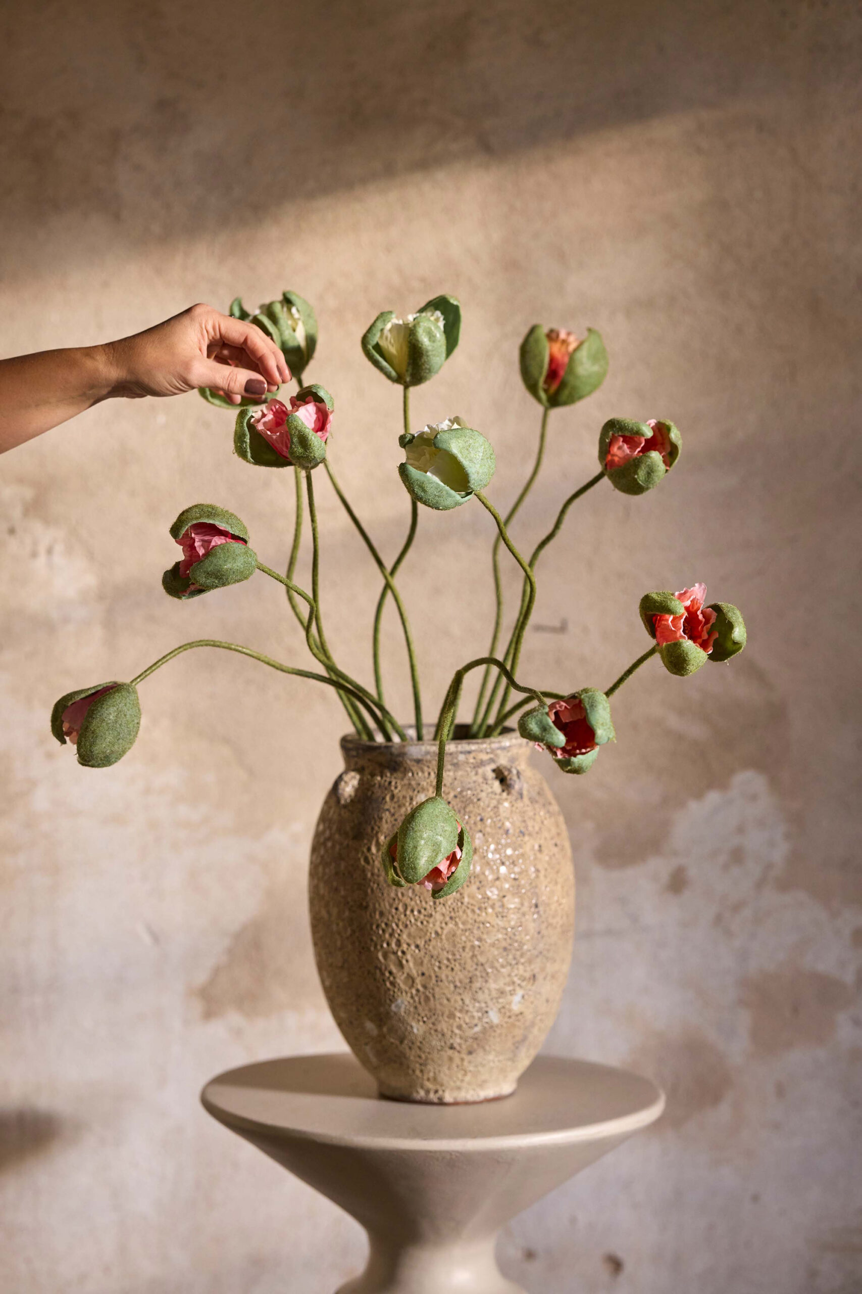 Vallmoknopp i oransje farge på lang stilk, 78 cm høy