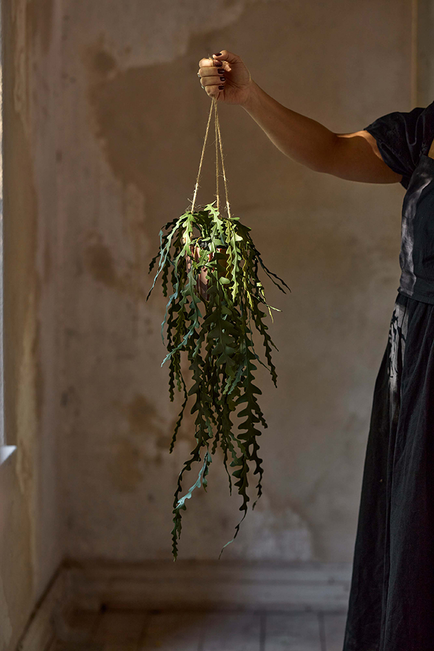 Elghornsbregne Grønn 15 cm - Bilde 2