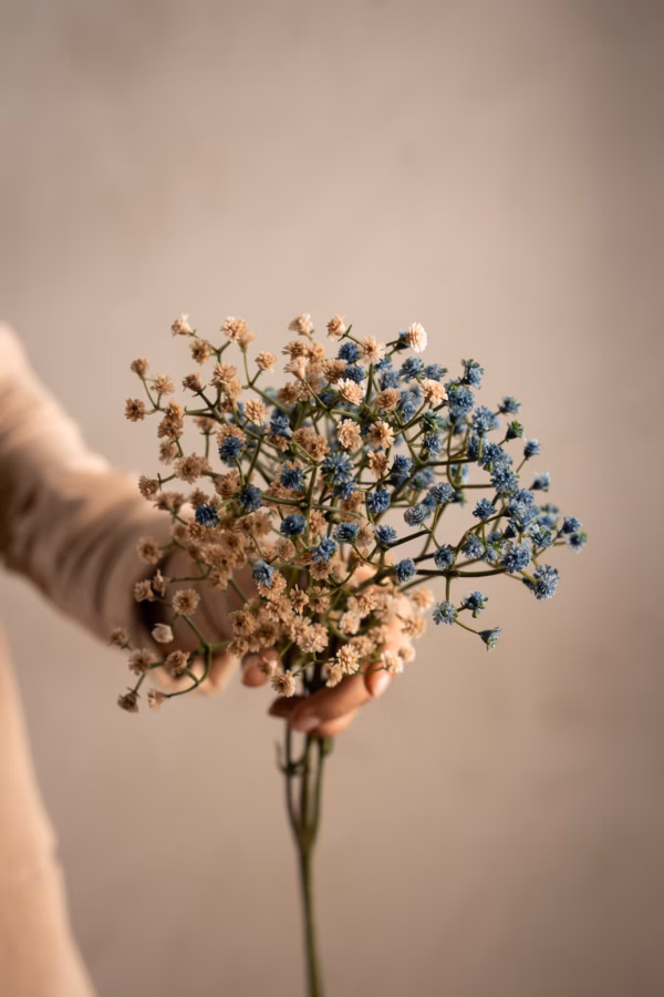 Brudeslør Beige 70 cm - Bilde 4