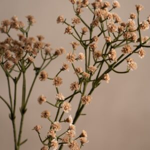 Brudeslør Beige 70 cm - Bilde 3