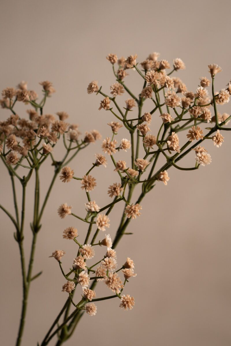 Brudeslør Beige – 70 cm