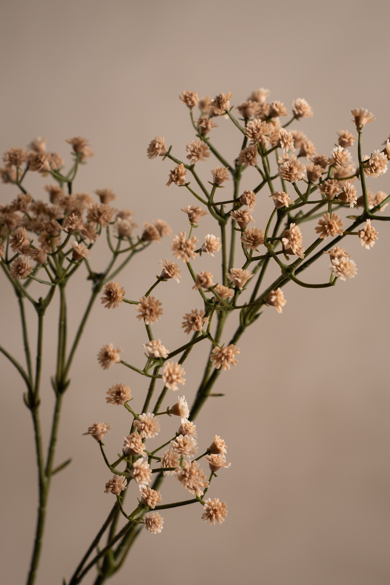 Brudeslør Beige 70 cm - Bilde 3