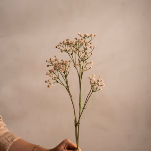 Brudeslør Beige 70 cm - Bilde 2