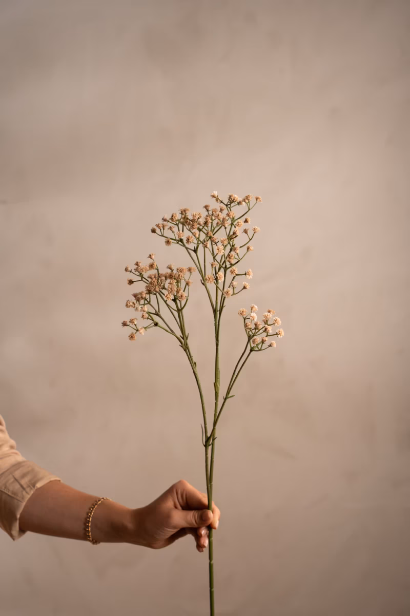 Brudeslør Beige – 70 cm