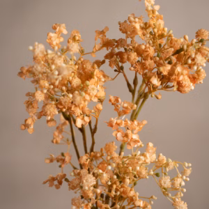 Brudeslør Oransje 70 cm - Bilde 2