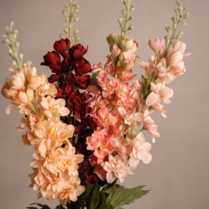 Delphinium Rosa 75 cm - Bilde 5