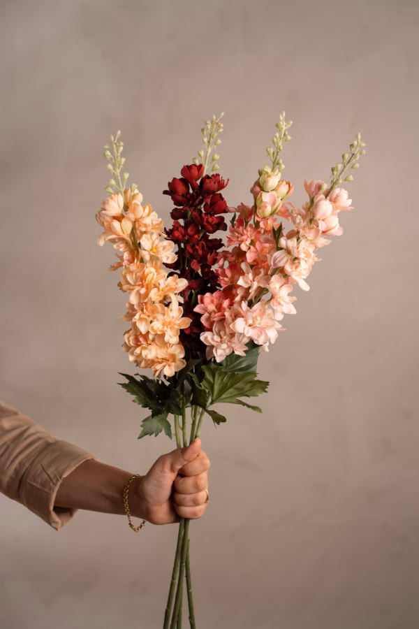 Delphinium Rosa 75 cm - Bilde 3