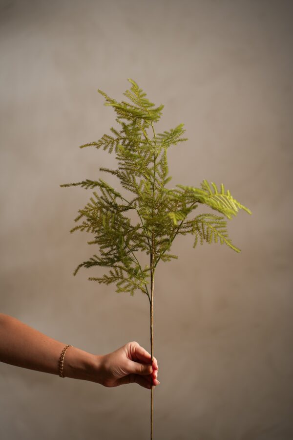 Asparagus i Grønn 70 cm - Bilde 2