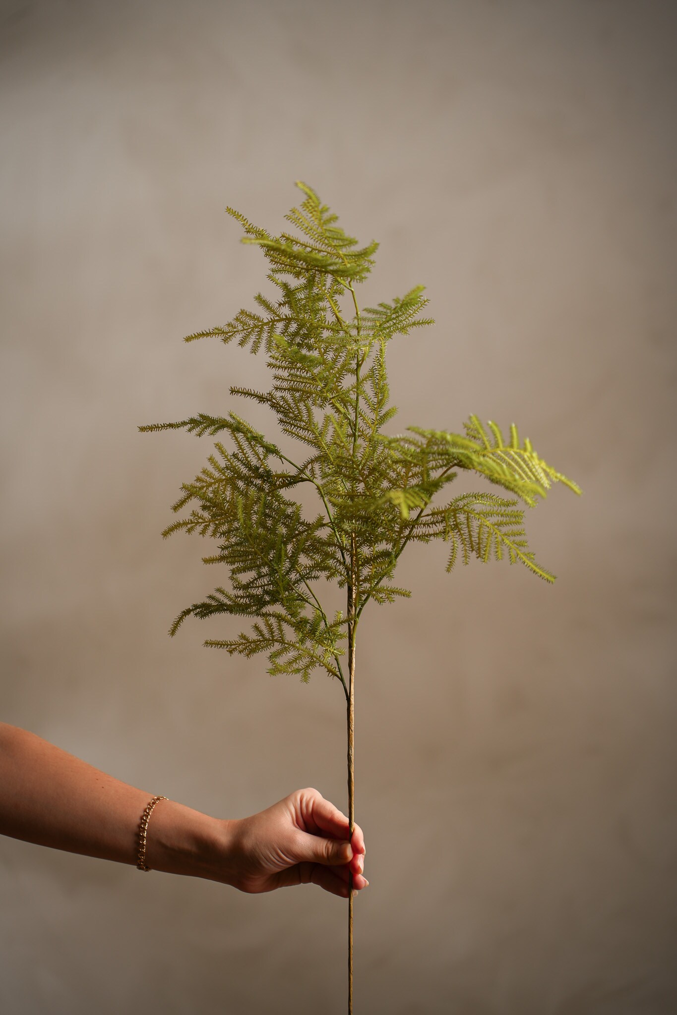 Asparagus i Grønn 70 cm - Bilde 2