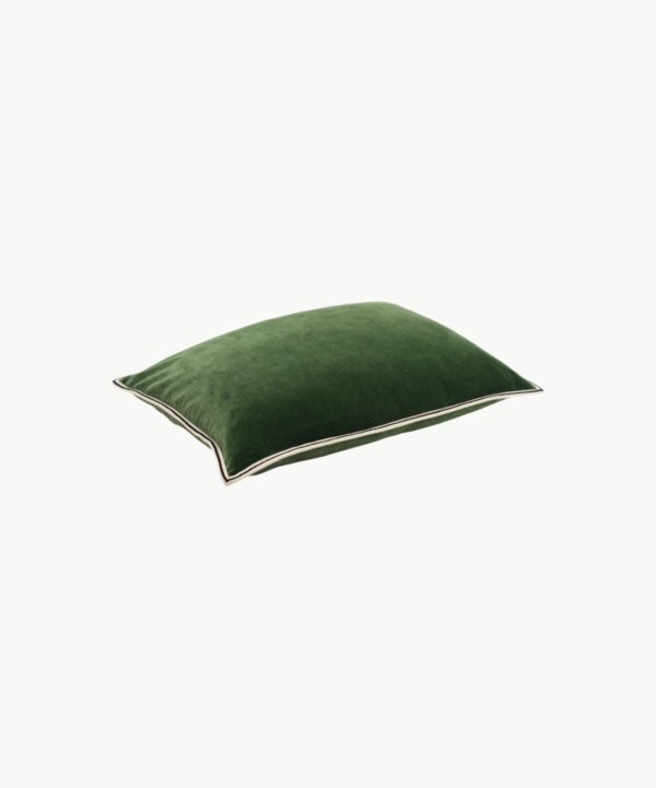 Aristote Figuier pyntepute 40x55 - Bilde 2