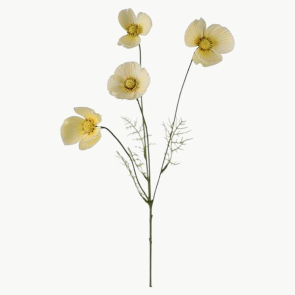 Rosenskjære i gul farge med flere blomster på stilk, 60 cm høy