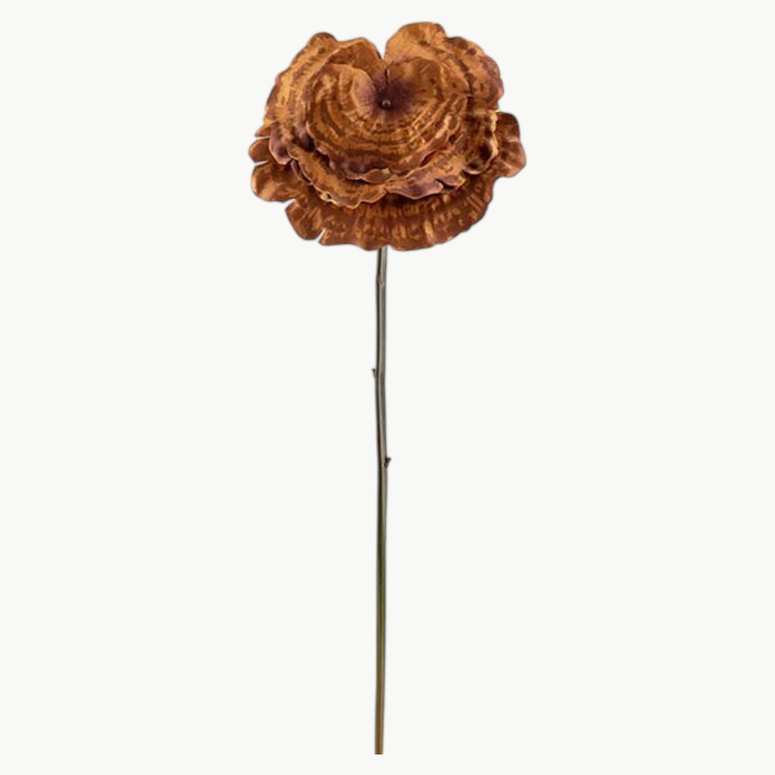 Dekorativ brun Lackticka stilk 53 cm med strukturert form
