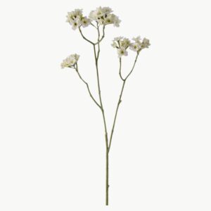 Blomkvist i hvit farge med små blomster på gren, 80 cm høy