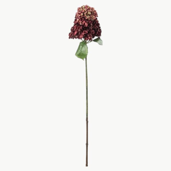 Syrénhortensia i burgundy farge med lang stilk, 84 cm høy