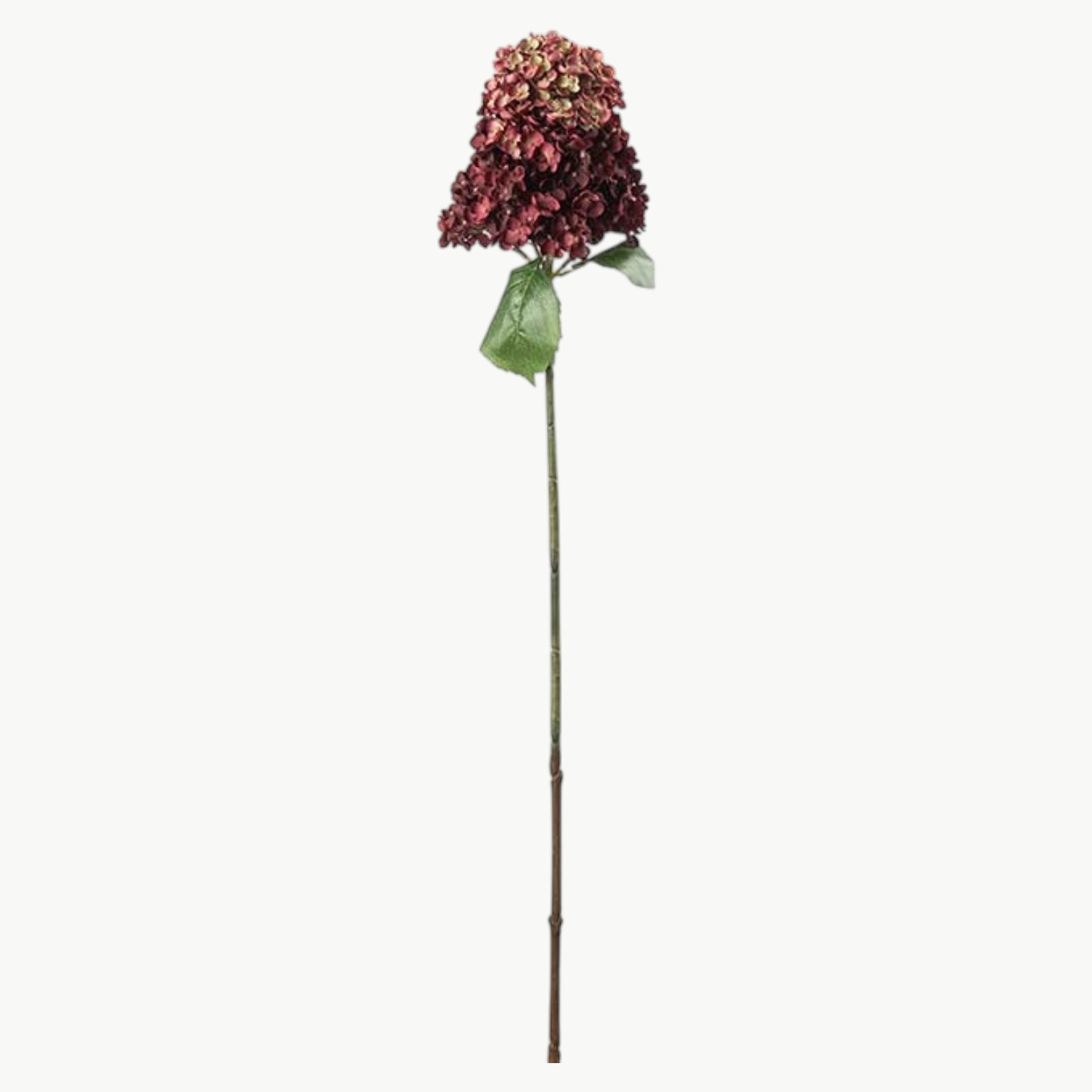 Syrénhortensia i burgundy farge med lang stilk, 84 cm høy