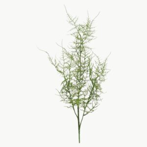 Kunstig grønn Plumosus gren 70 cm med fin og luftig struktur